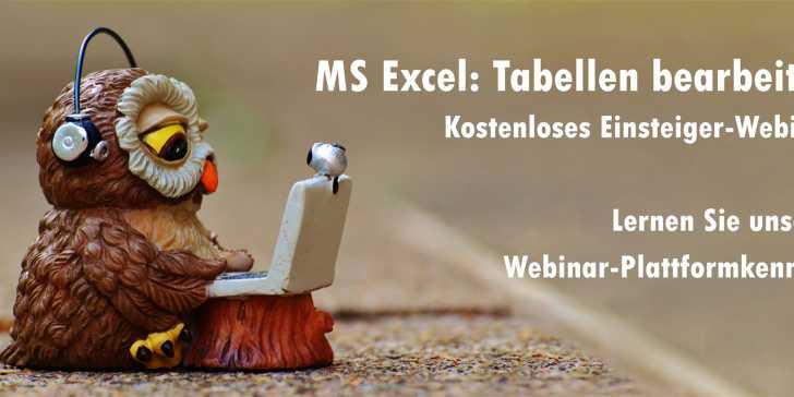 Webinar, Live Online-Training, MS Excel Schulung